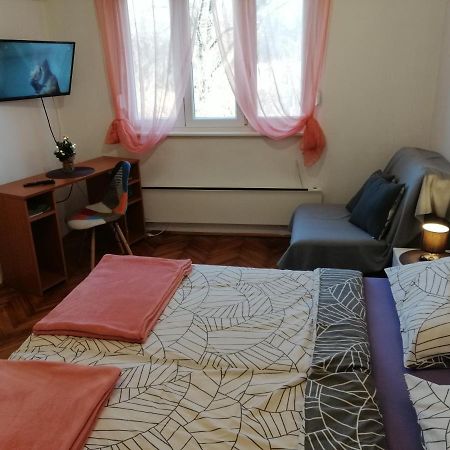 Apartman Gobac Karlovac Exterior foto